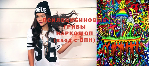 МДПВ Алзамай