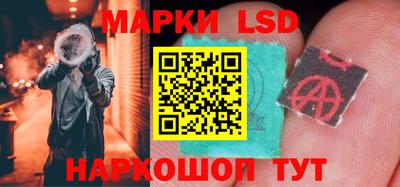 a pvp Славгород