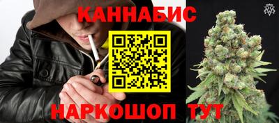 a pvp Славгород
