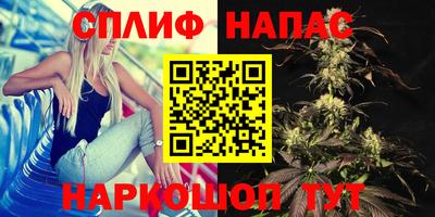 a pvp Славгород