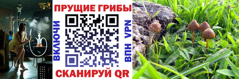 Галлюциногенные грибы Magic Shrooms  Тула 