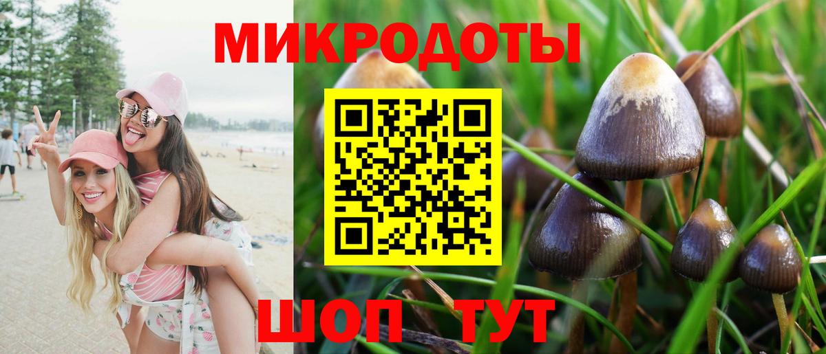Тула  Псилоцибиновые грибы GOLDEN TEACHER  Вход с VPN  Галлюциногенные грибы мухоморы 